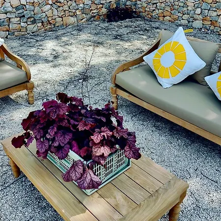Masseria Celeste Farm stay *