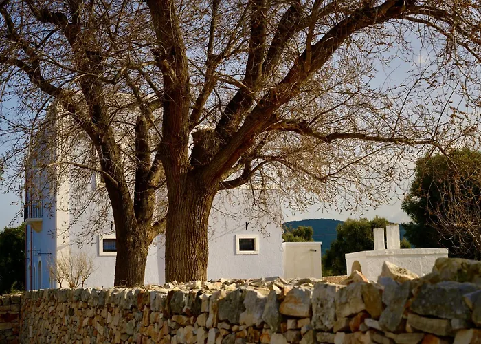 Farm stay Masseria Celeste Fasano