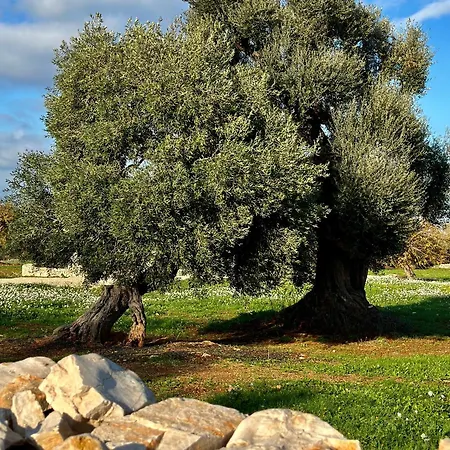 Masseria Celeste Vakantieboerderij