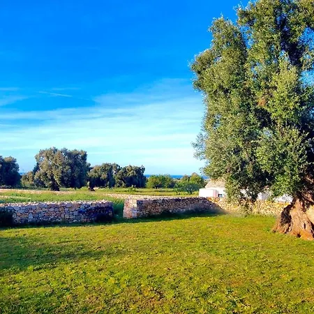Masseria Celeste Vakantieboerderij