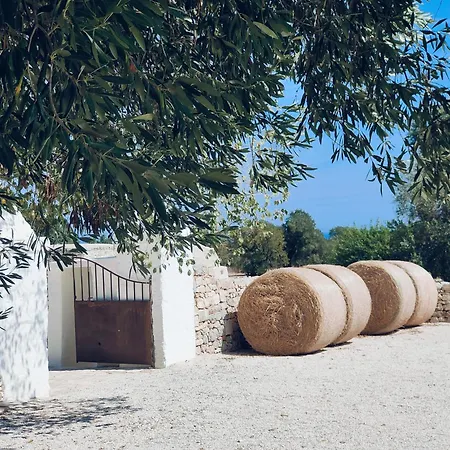 Masseria Celeste Vakantieboerderij *