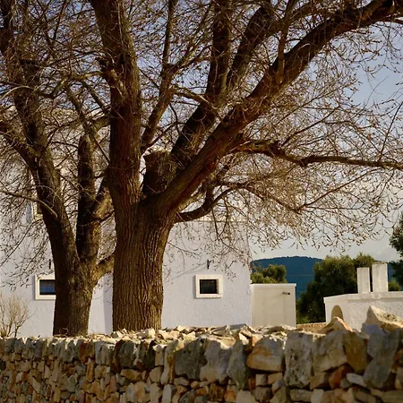 Farm stay Masseria Celeste Fasano